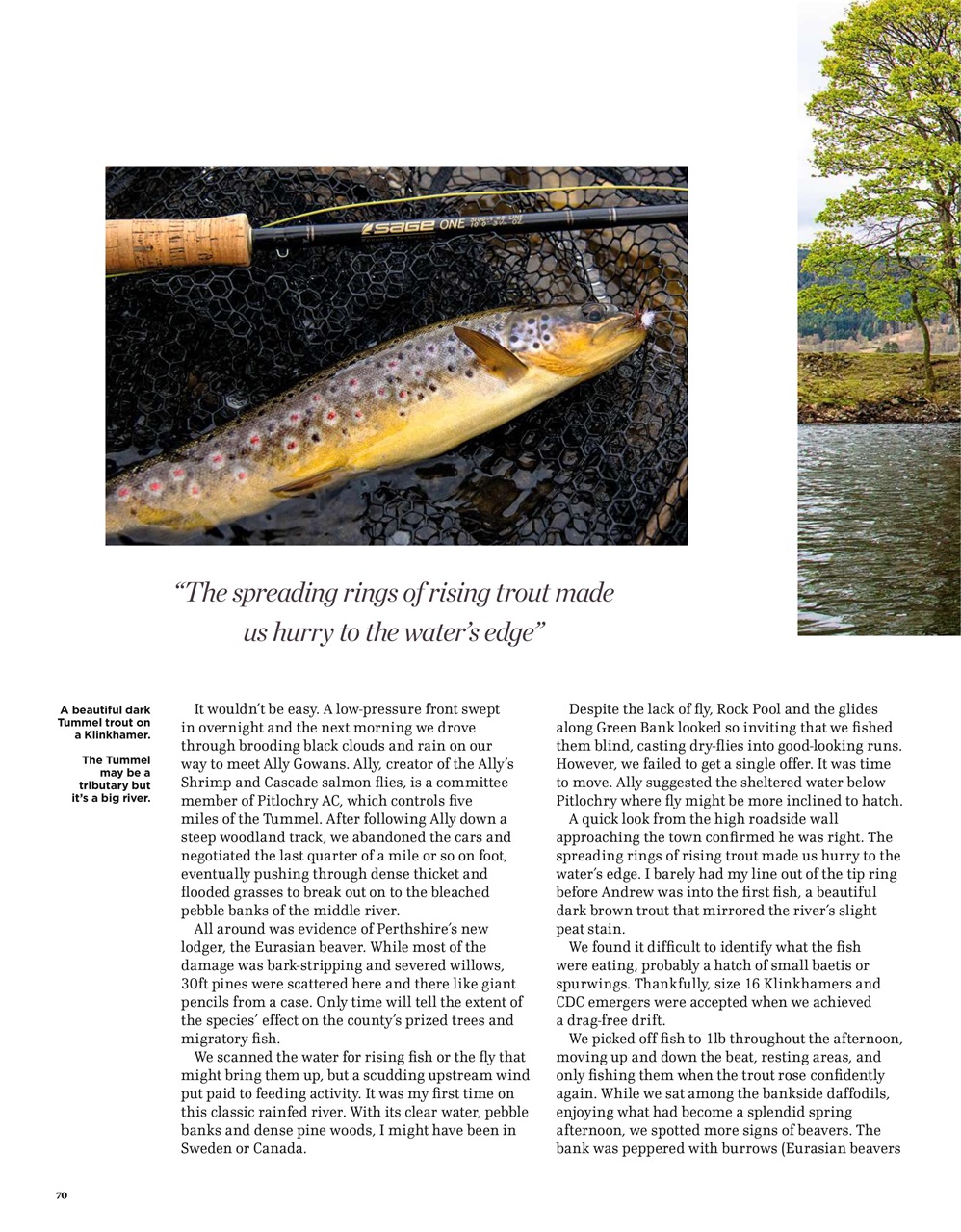 Trout & Salmon Preview Pages