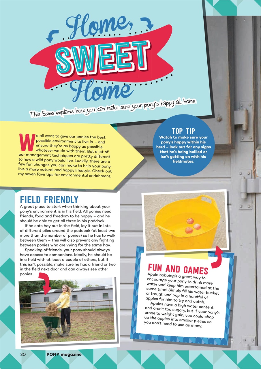 Pony Magazine Preview Pages