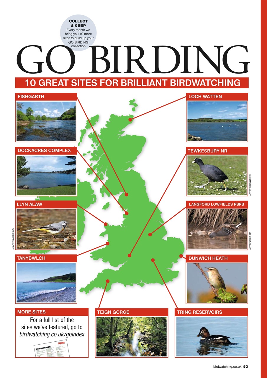 Bird Watching Preview Pages