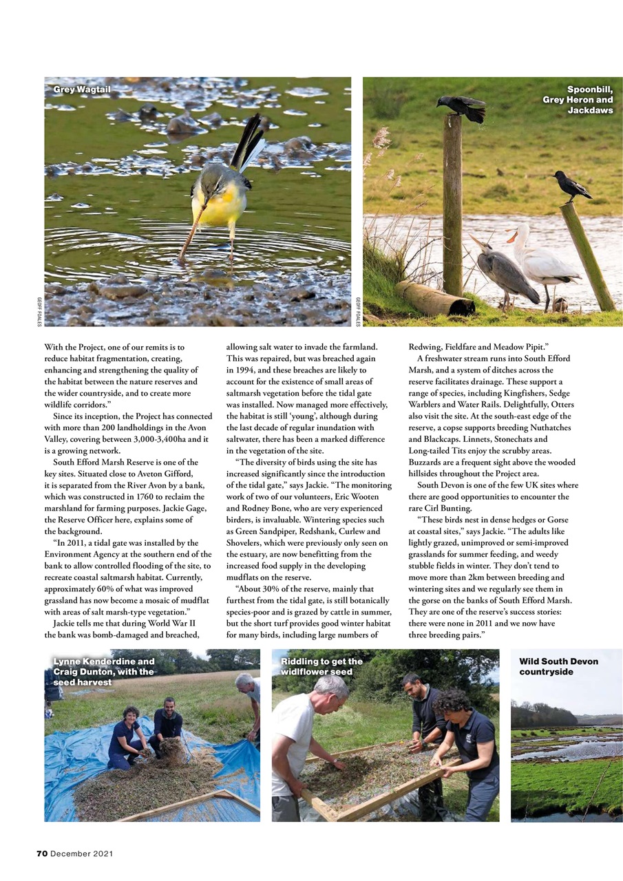Bird Watching Preview Pages