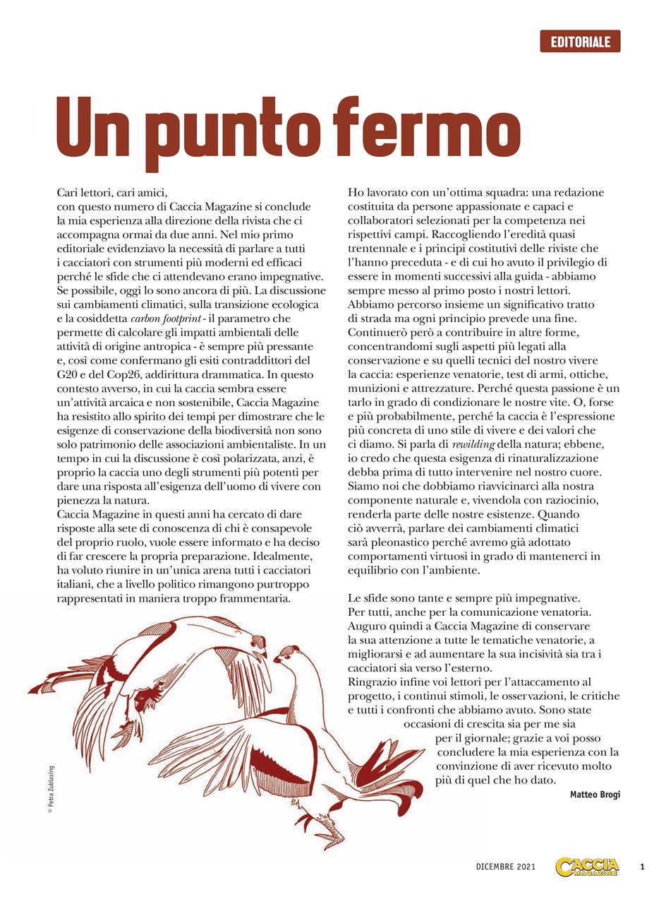 Caccia Magazine Preview Pages