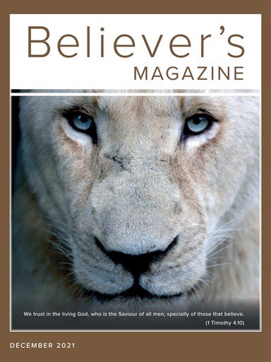 Believer Magazine issue 