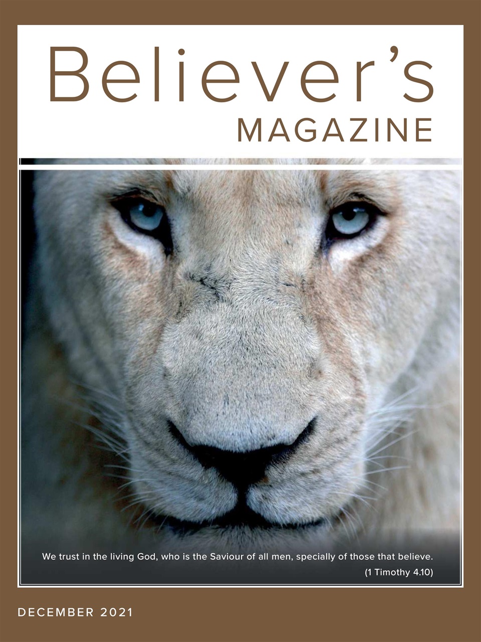 Believer Magazine Preview Pages