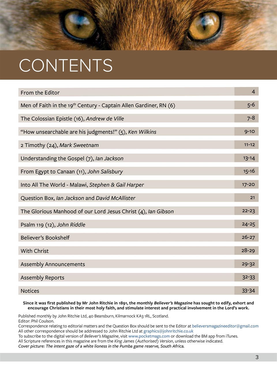 Believer Magazine Preview Pages