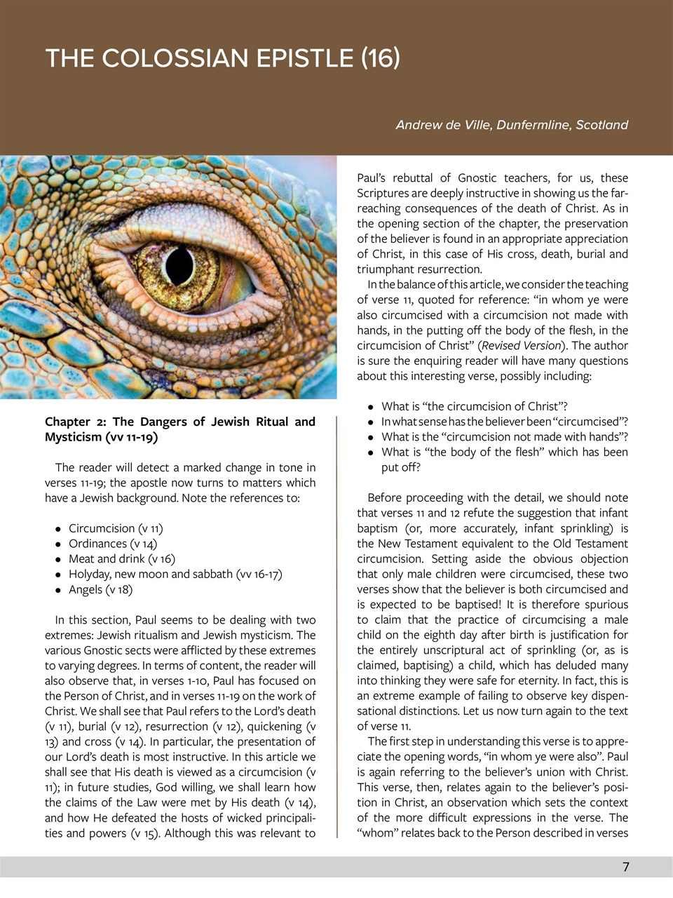 Believer Magazine Preview Pages