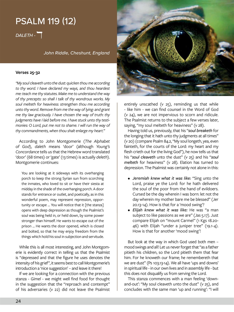 Believer Magazine Preview Pages