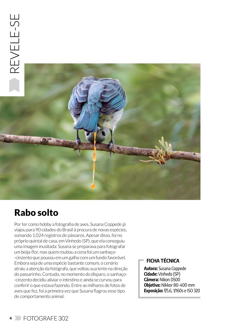 Fotografe Preview Pages