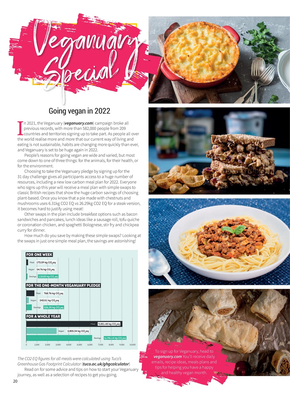 PlantBased Preview Pages