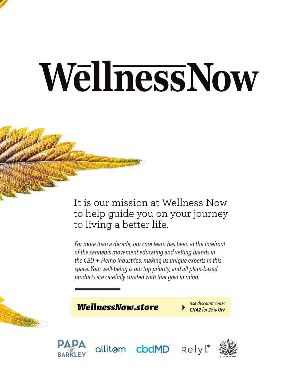 Cannabis Now Preview Pages