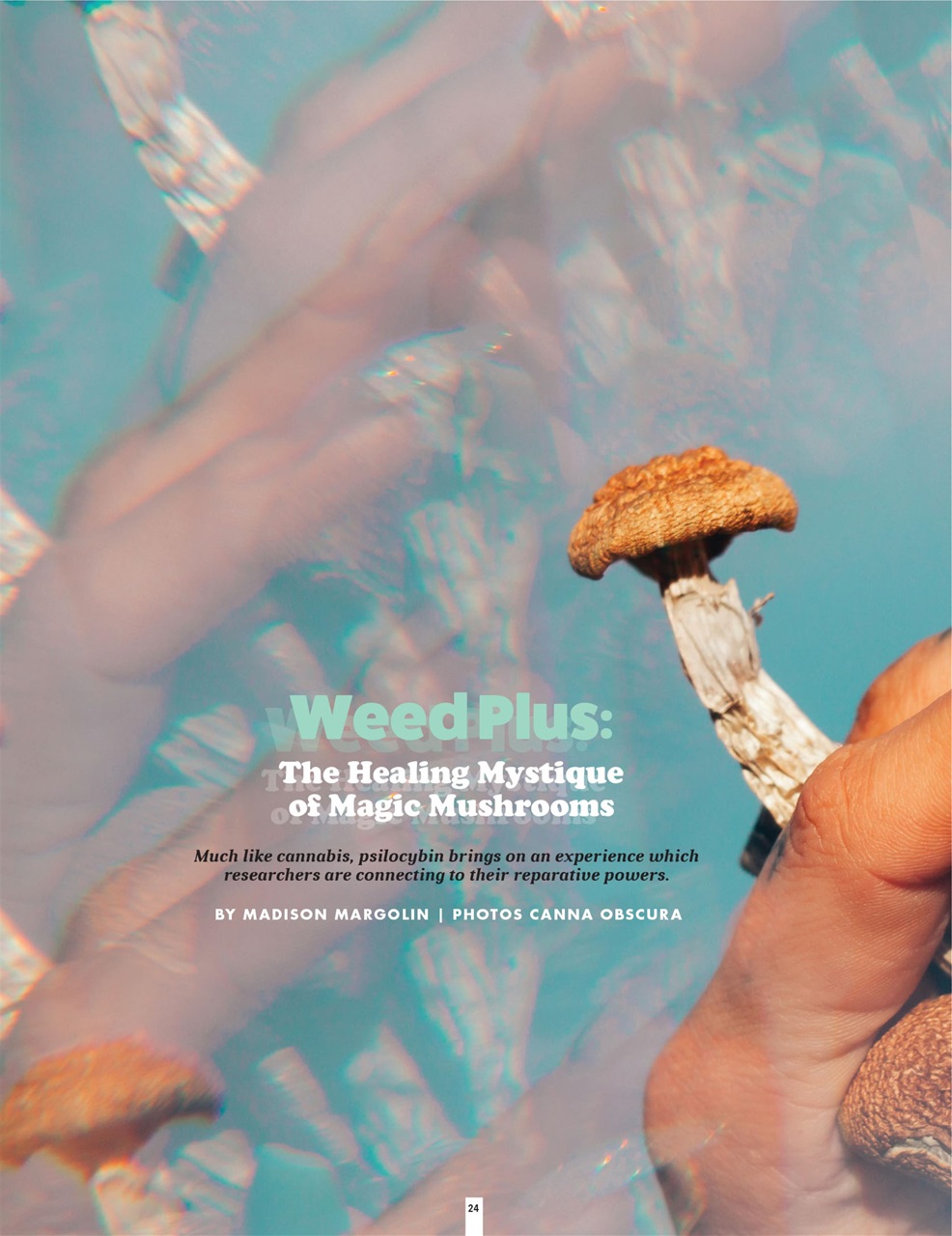 Cannabis Now Preview Pages