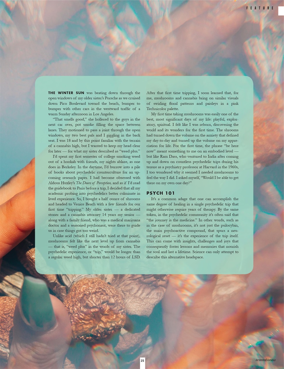 Cannabis Now Preview Pages