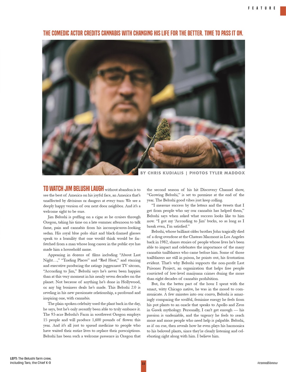 Cannabis Now Preview Pages