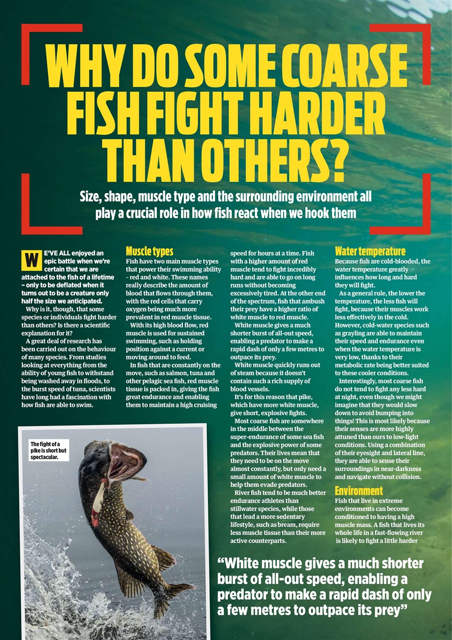 Angling Times Preview Pages