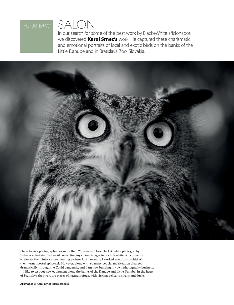 Black+White Photography Preview Pages