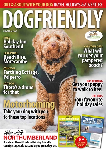 Dog Friendly issue Nov-Dec 2021