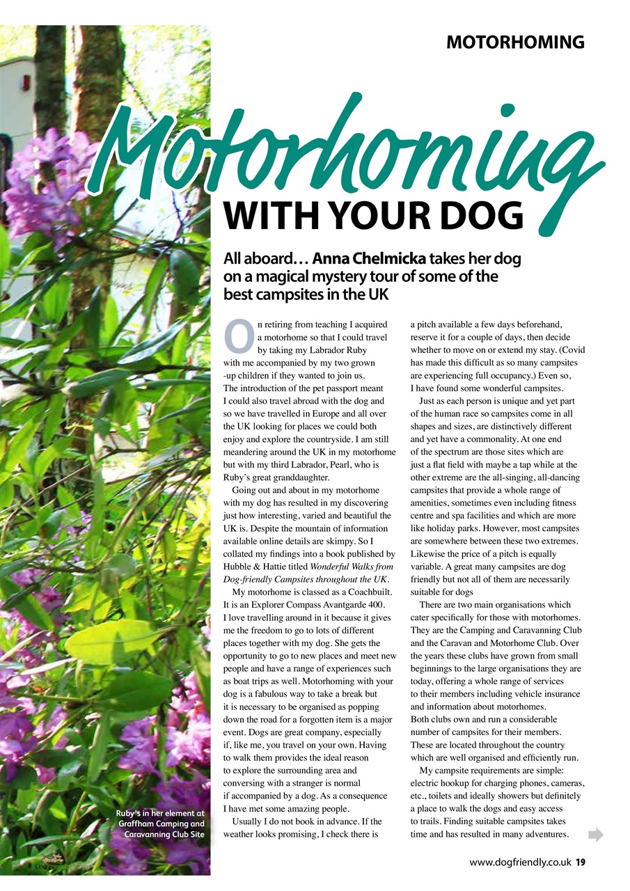 Dog Friendly Preview Pages
