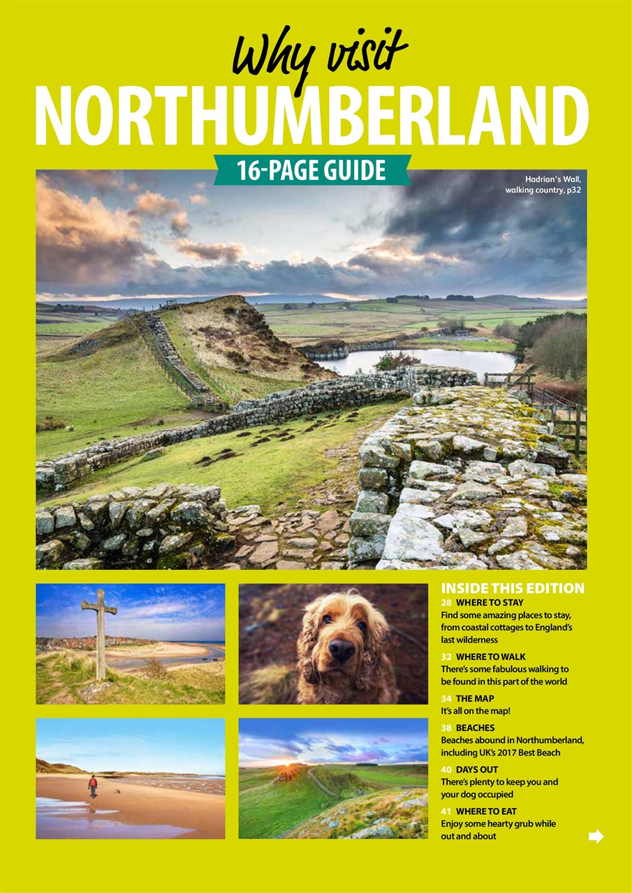 Dog Friendly Preview Pages