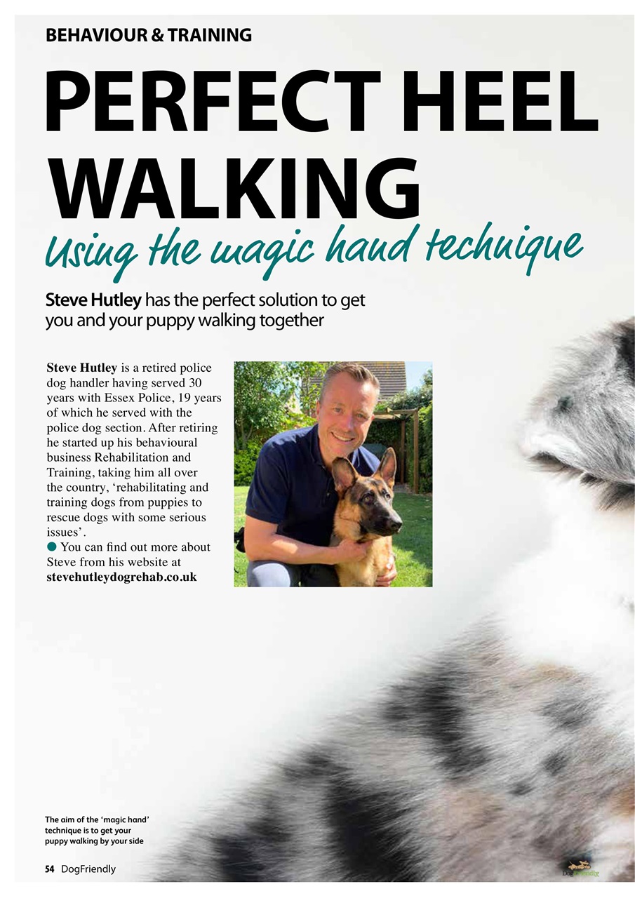 Dog Friendly Preview Pages