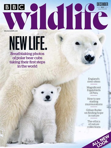 BBC Wildlife Magazine issue Dec-21