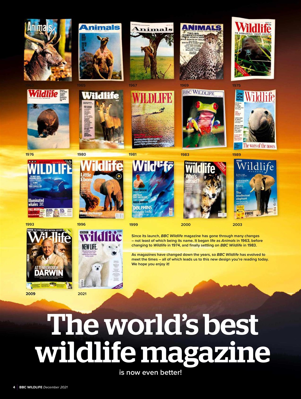 BBC Wildlife Magazine Preview Pages