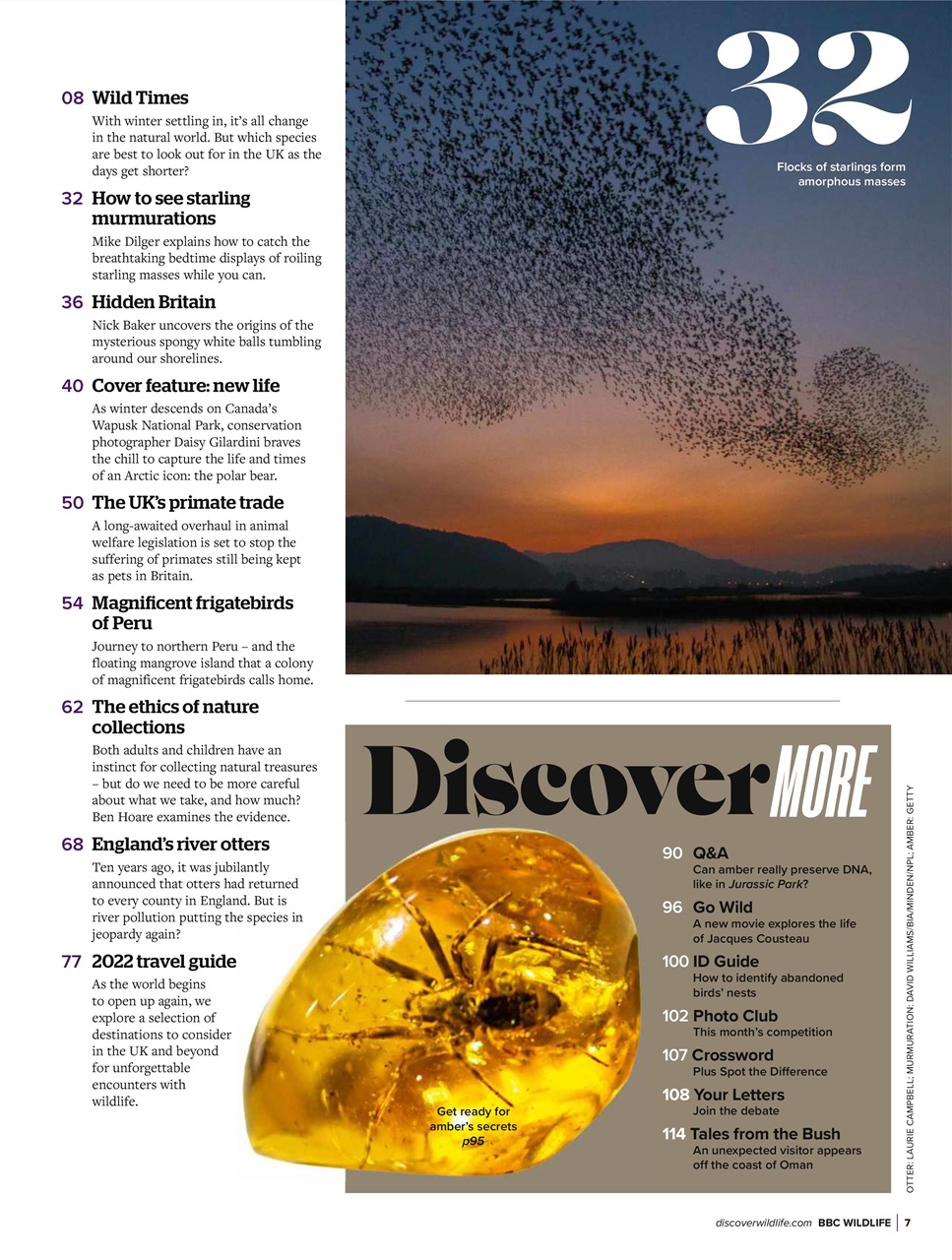 BBC Wildlife Magazine Preview Pages