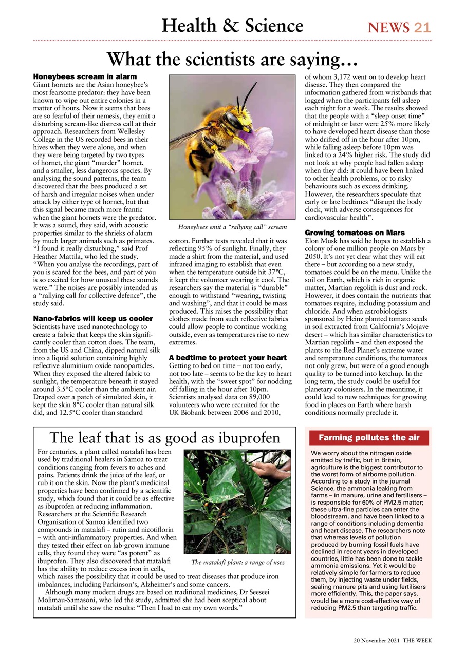 The Week Preview Pages