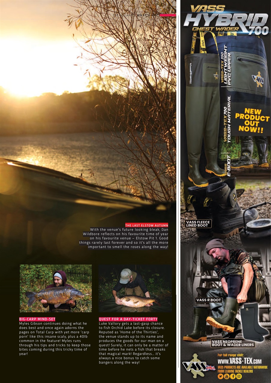 Total Carp Preview Pages