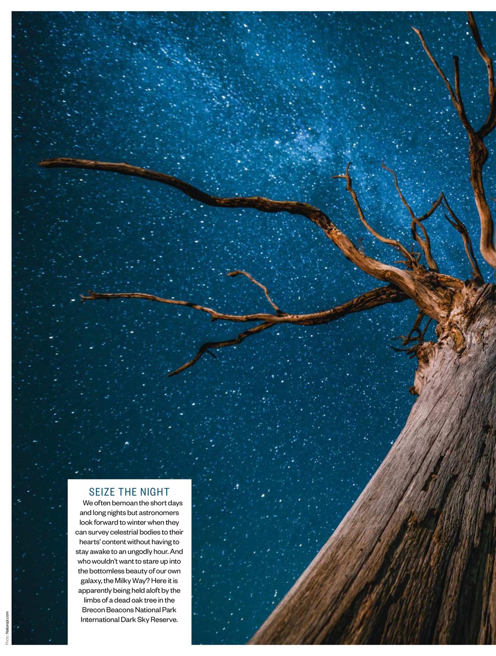 BBC Countryfile Magazine Preview Pages