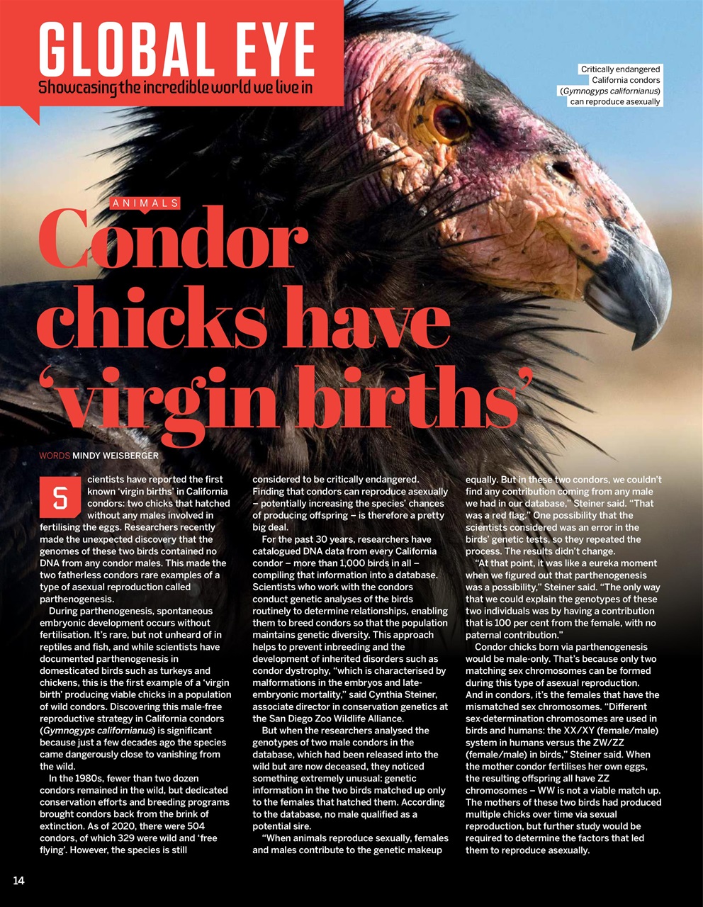 How It Works Preview Pages