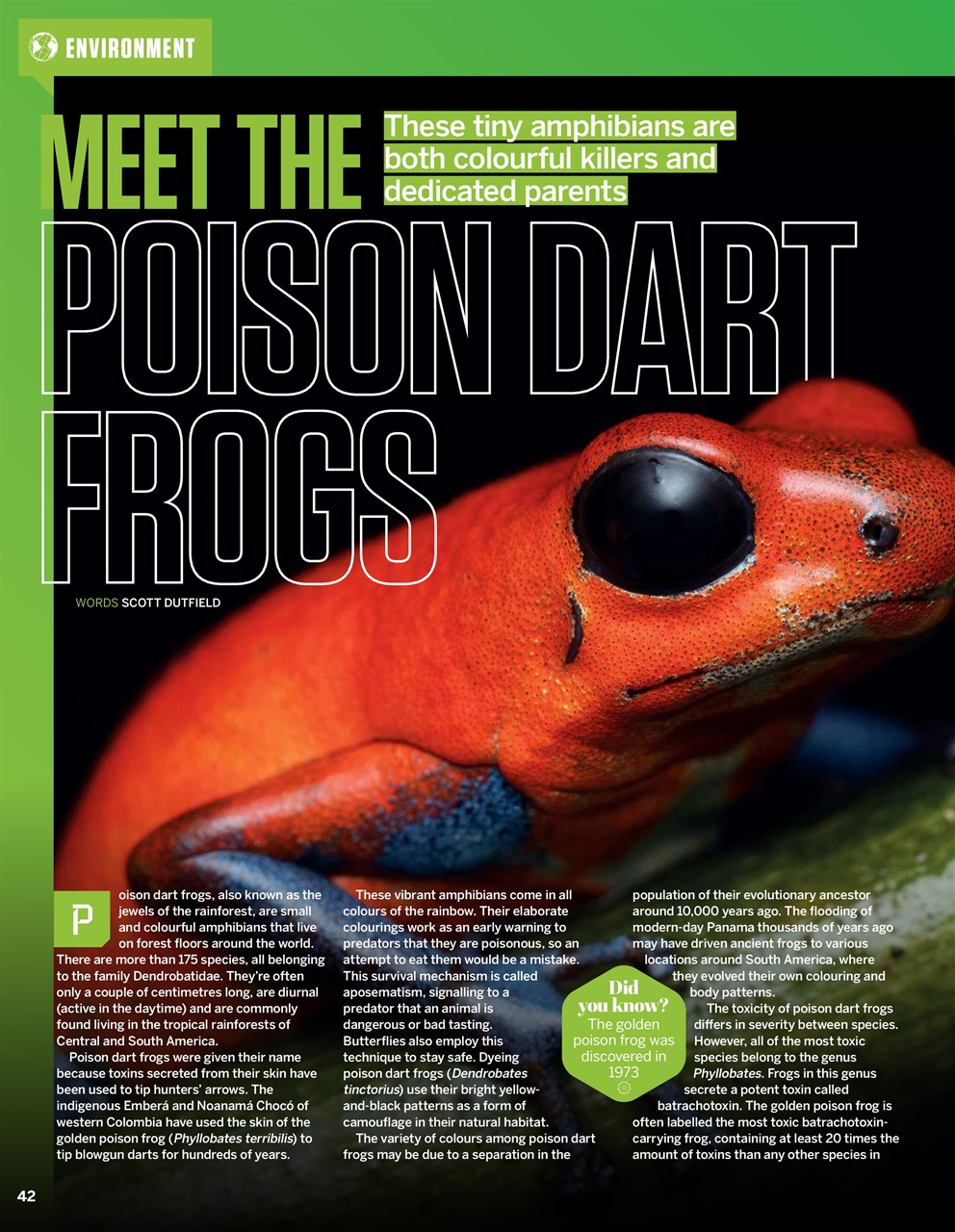 How It Works Preview Pages