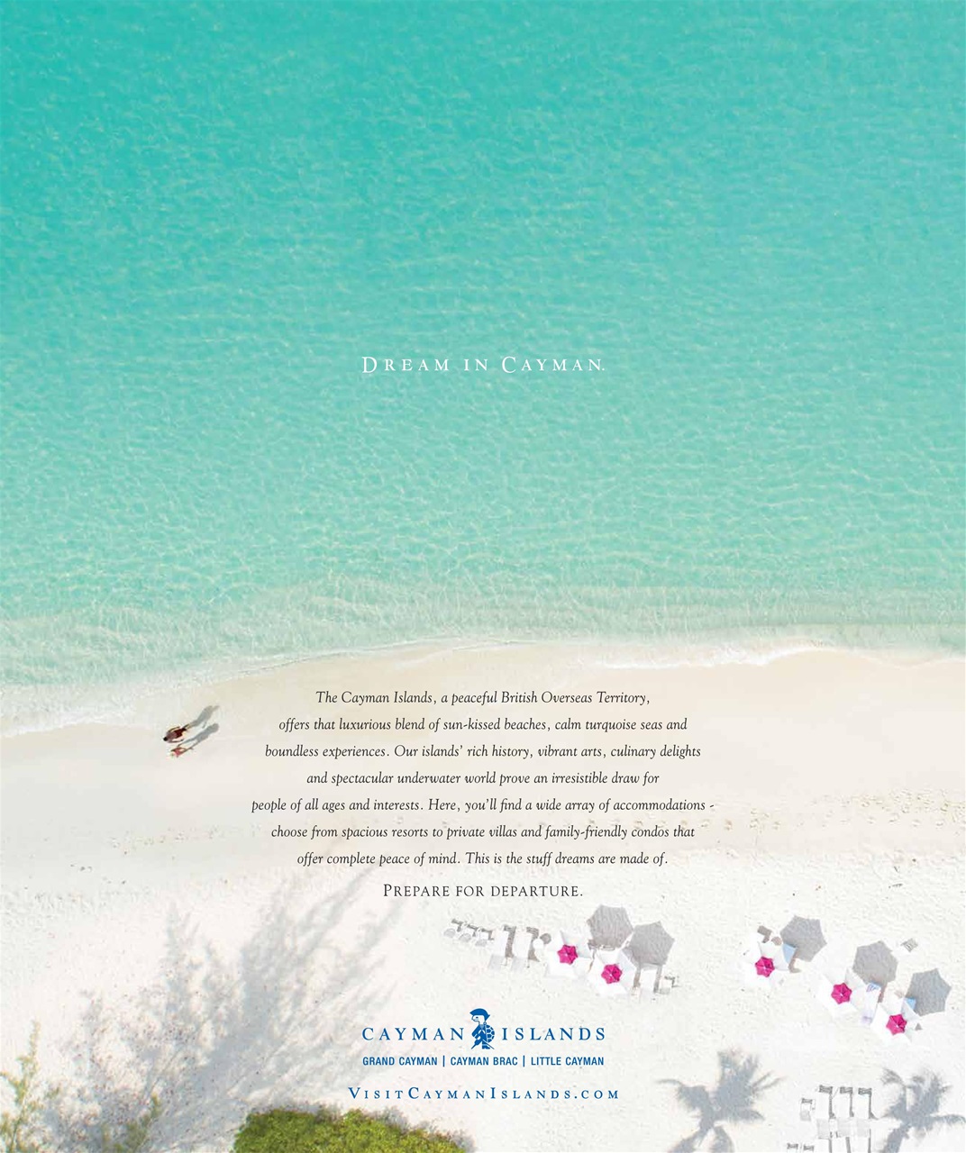 Avenue Calgary Preview Pages