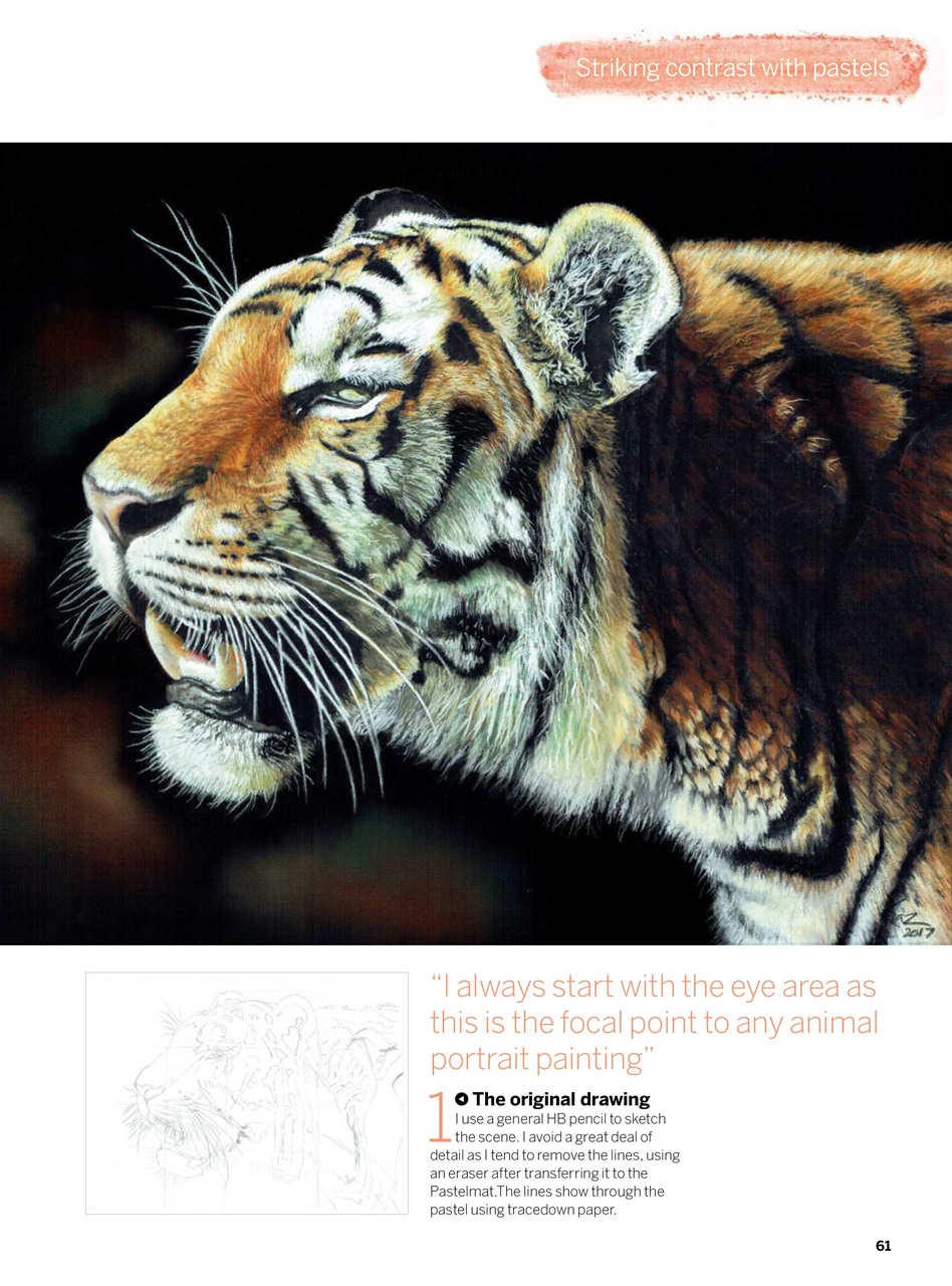 Creative Bookazine Preview Pages