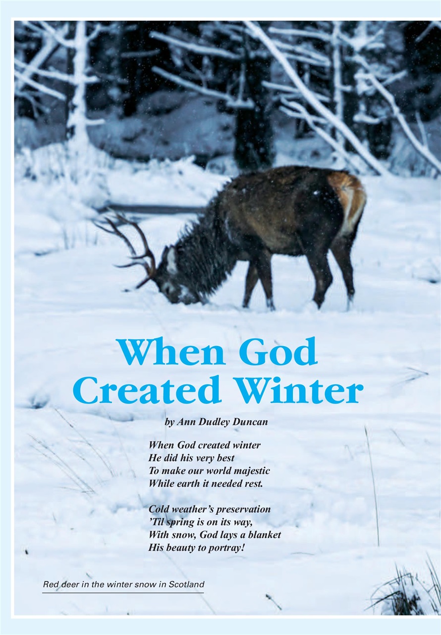 Evergreen Preview Pages