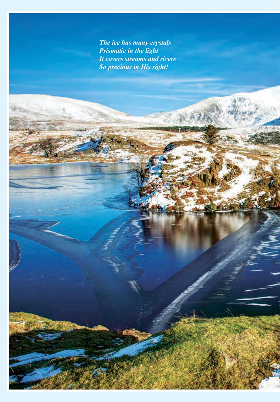 Evergreen Preview Pages