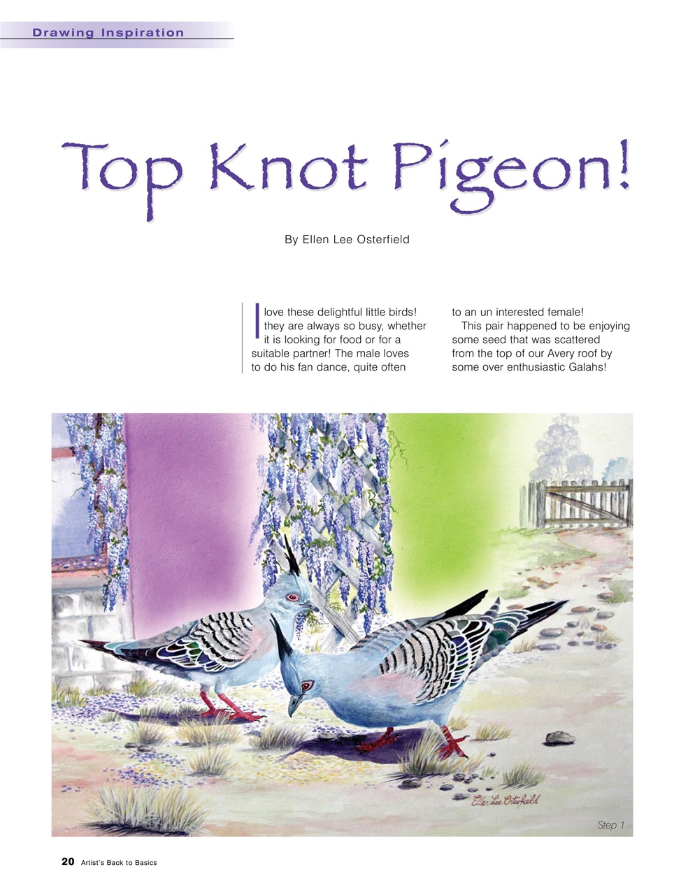 Artists Back to Basics Preview Pages