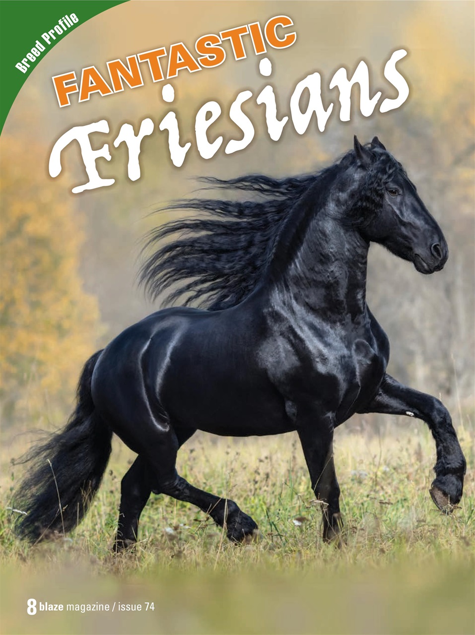 Blaze Magazine For Horse Crazy Kids Preview Pages
