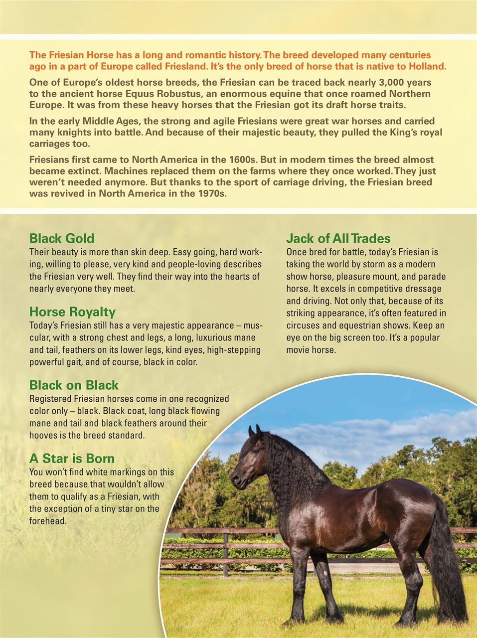 Blaze Magazine For Horse Crazy Kids Preview Pages