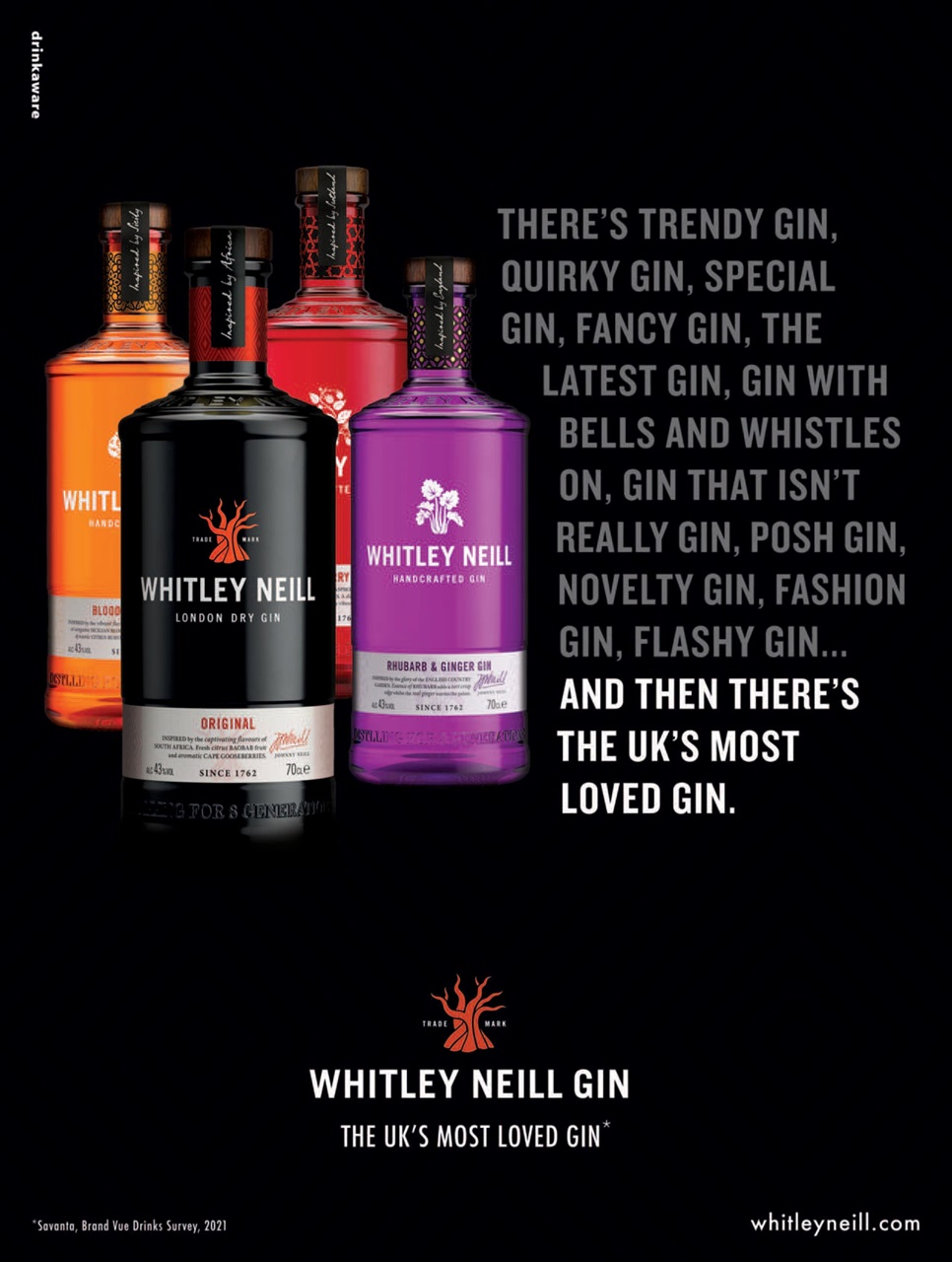 Gin Magazine Preview Pages