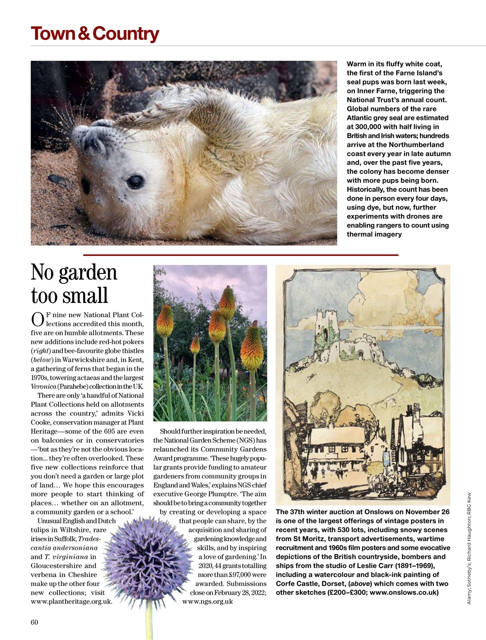 Country Life Preview Pages