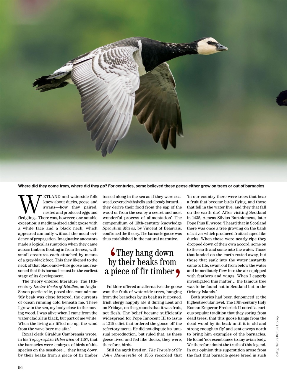 Country Life Preview Pages