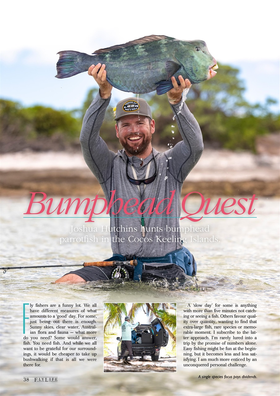FlyLife Preview Pages