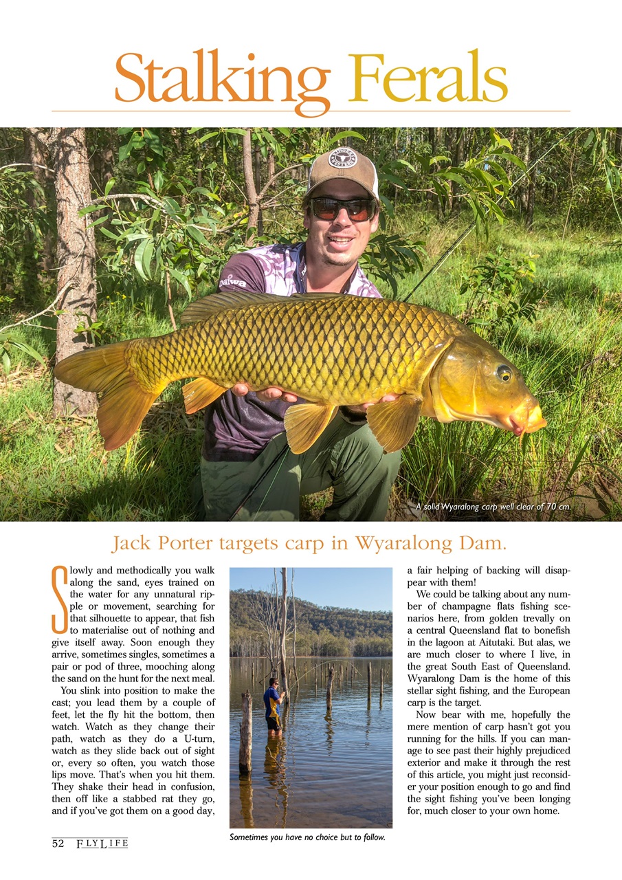 FlyLife Preview Pages