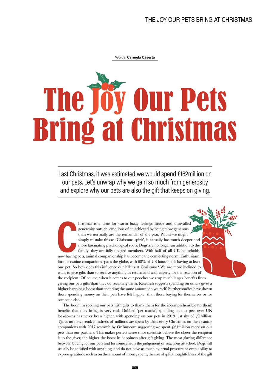 Edition Dog Preview Pages