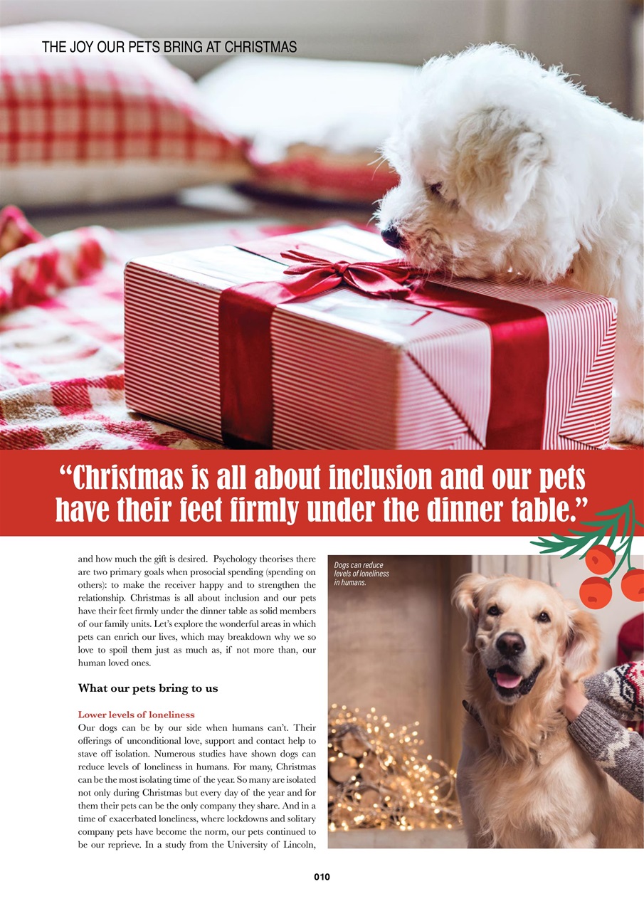 Edition Dog Preview Pages