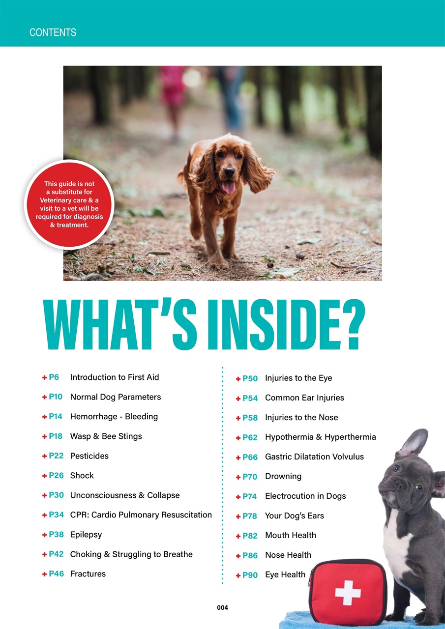 Edition Dog Preview Pages