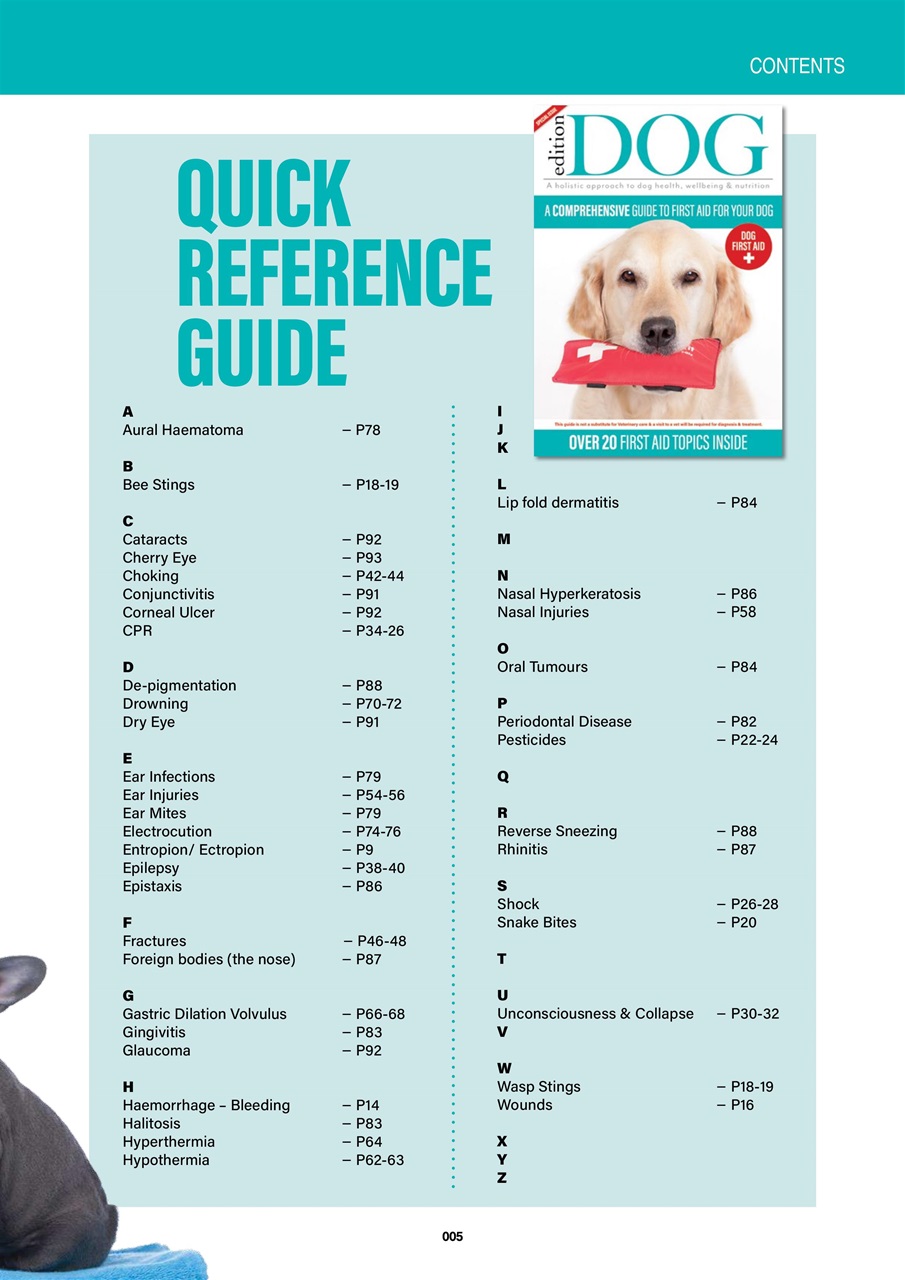 Edition Dog Preview Pages