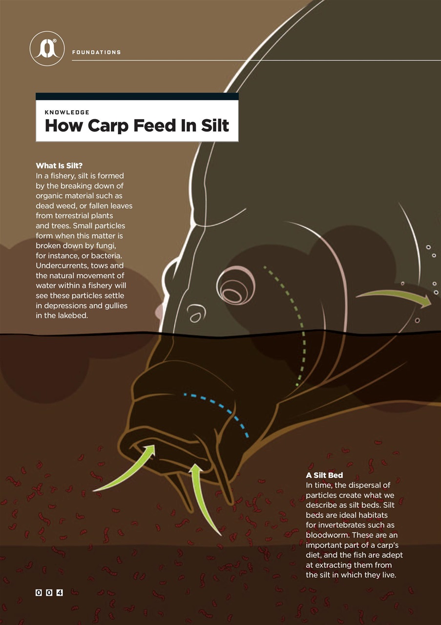CARPology Magazine Preview Pages