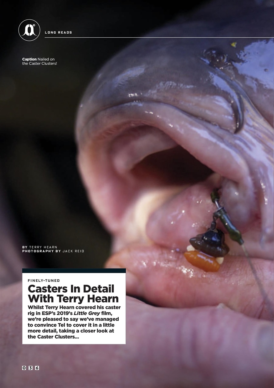CARPology Magazine Preview Pages