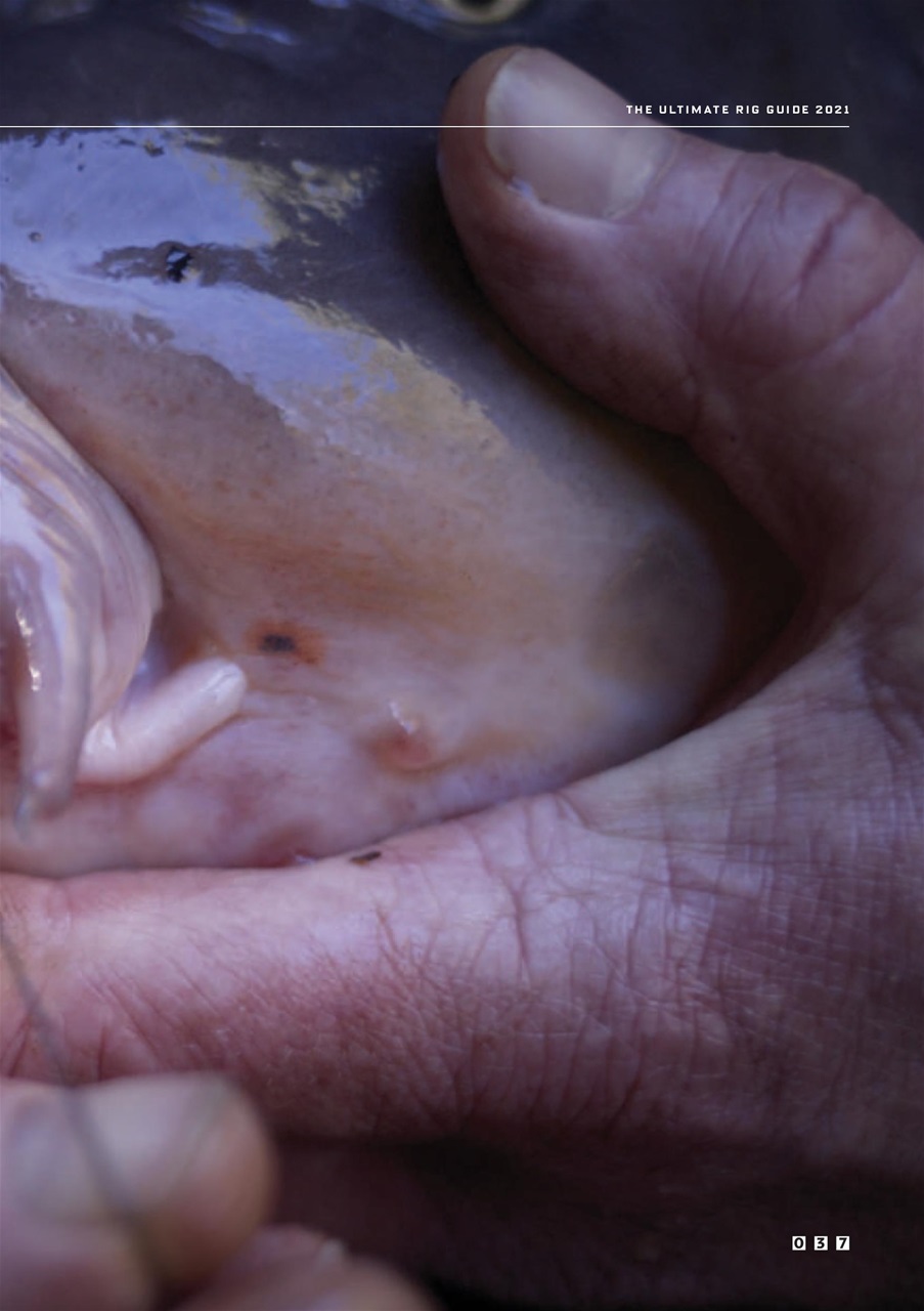 CARPology Magazine Preview Pages