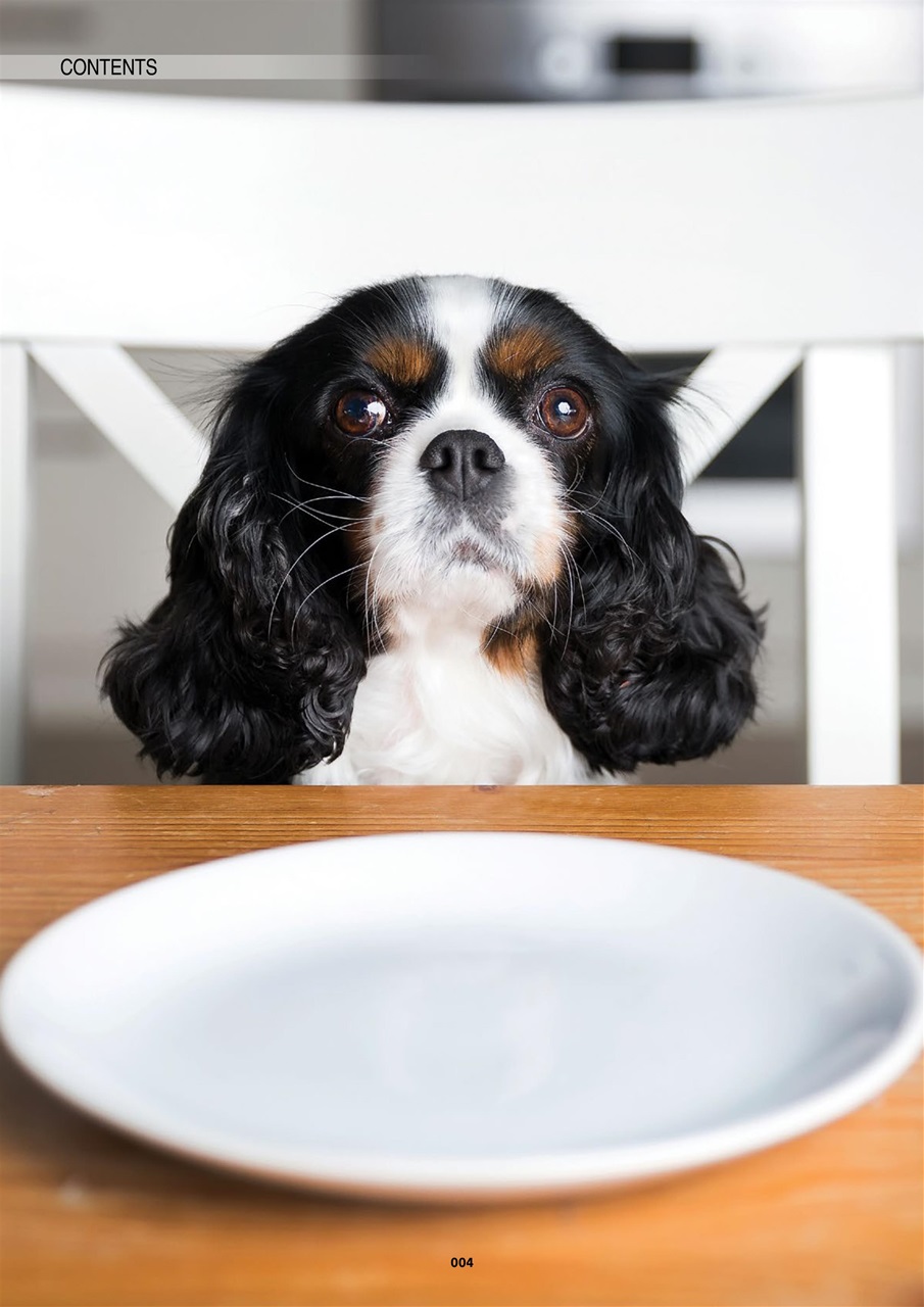 Edition Dog Preview Pages